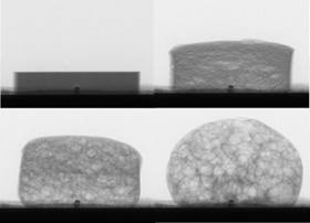 Image of a metal foam - enlarged view