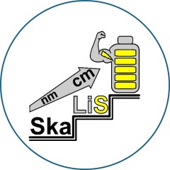 SkaLiS