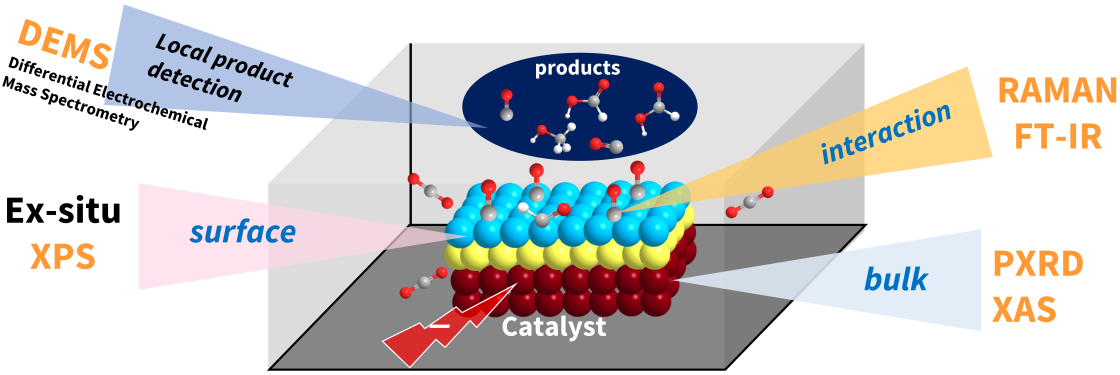 INSITU - enlarged view