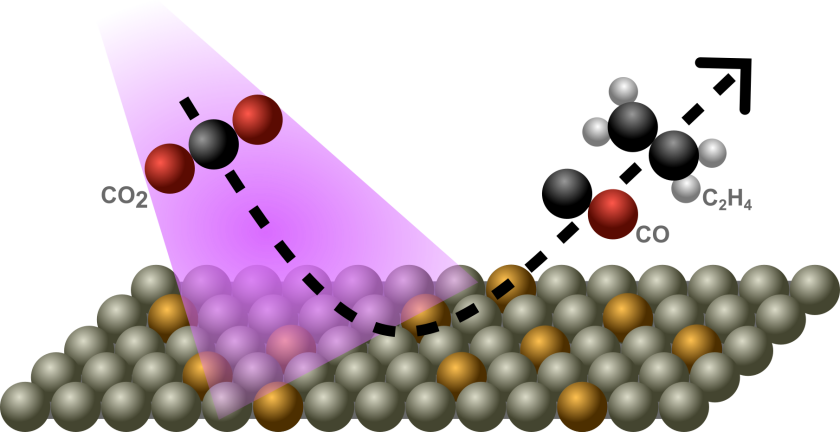 fig.1_CU_project_Kinran L.