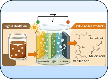 Investigation of lignin oxidation reaction in photoelectrochemical (PEC) cell employing BiVO4