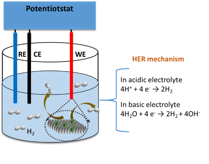 HER - vergrerte Ansicht