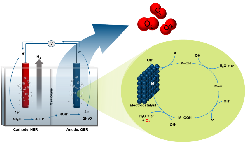 OER-Schematic - vergrerte Ansicht