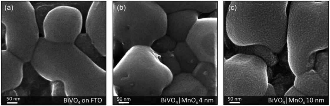 High-resolution imaging of non-conductive and/or beam sensitive materials 2 - enlarged view
