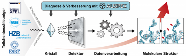 Funktionsweise des AUSPEX-Diagnosetools. Deutsch