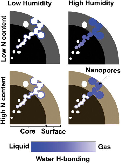 Water adsorption in mesoporous carbon materials - enlarged view