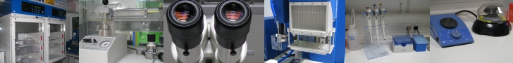 enlarged view