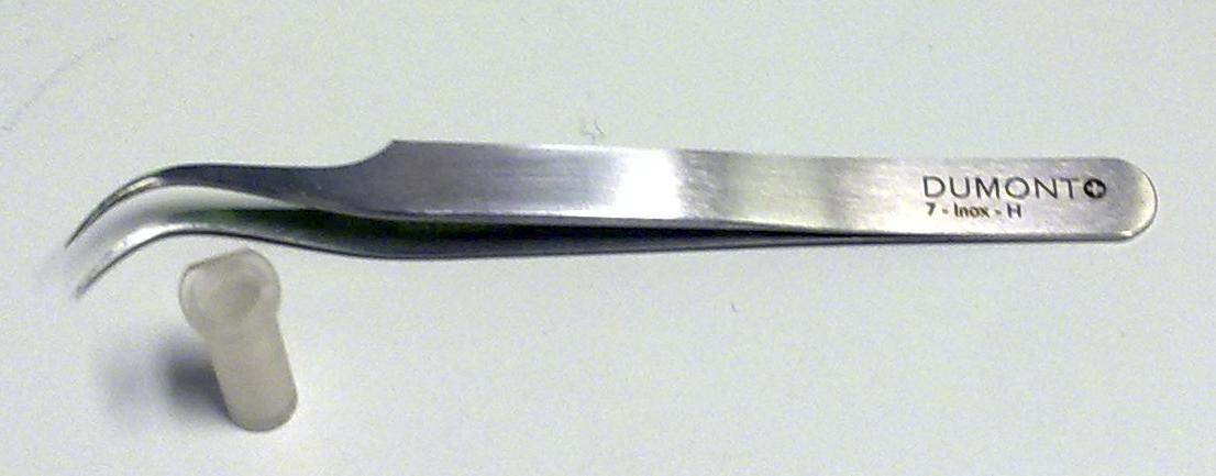 enlarged view