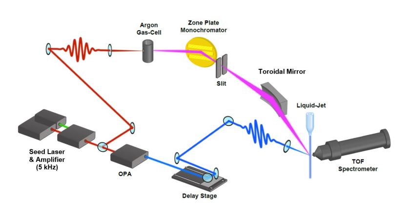 chematic view of the experimental setup including generation and monochromatization of the XUV probe beam and its delivery optics, laser pump beam, time-of-flight electron spectrometer, and liquid micro-jet. - enlarged view