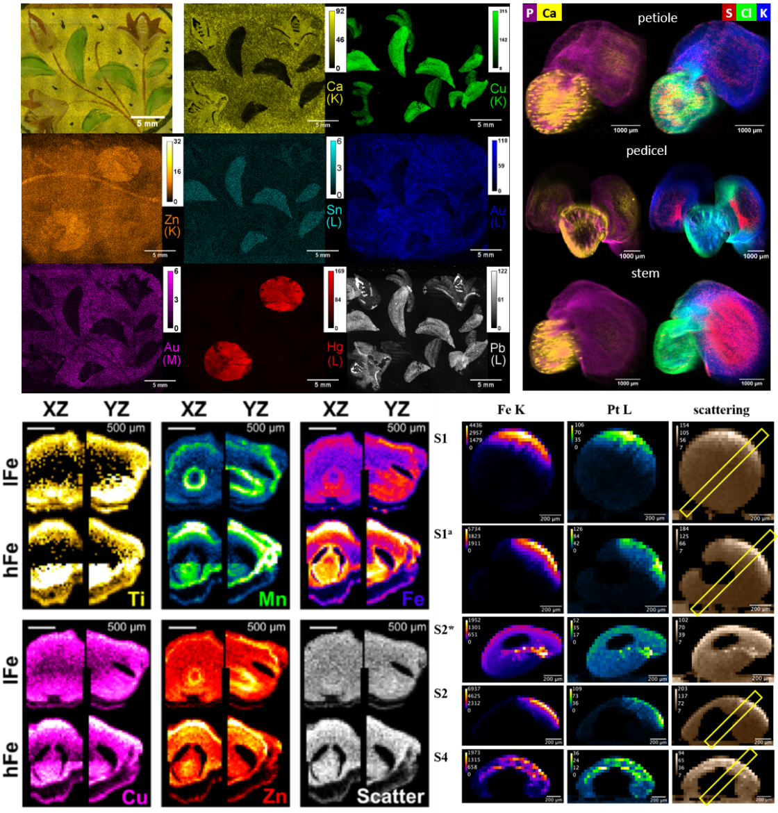 XRF images - enlarged view