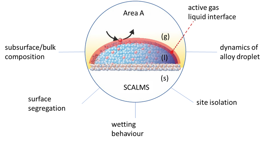 SCALMS1 - enlarged view