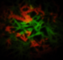 Young Investigator Group Hybrid Materials Formation and Scaling