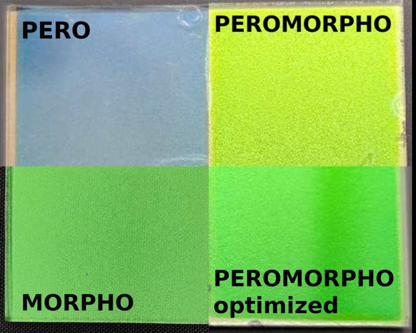 PeroMorpho - enlarged view