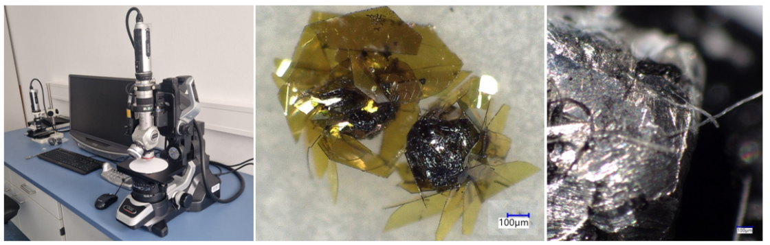 microscopy - enlarged view