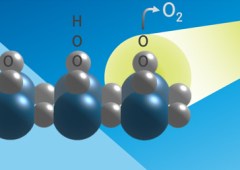 Young Investigator Group Oxygen Evolution  Mechanism Engineering