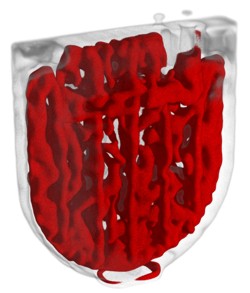 Li-Ion Batterie - vergrerte Ansicht