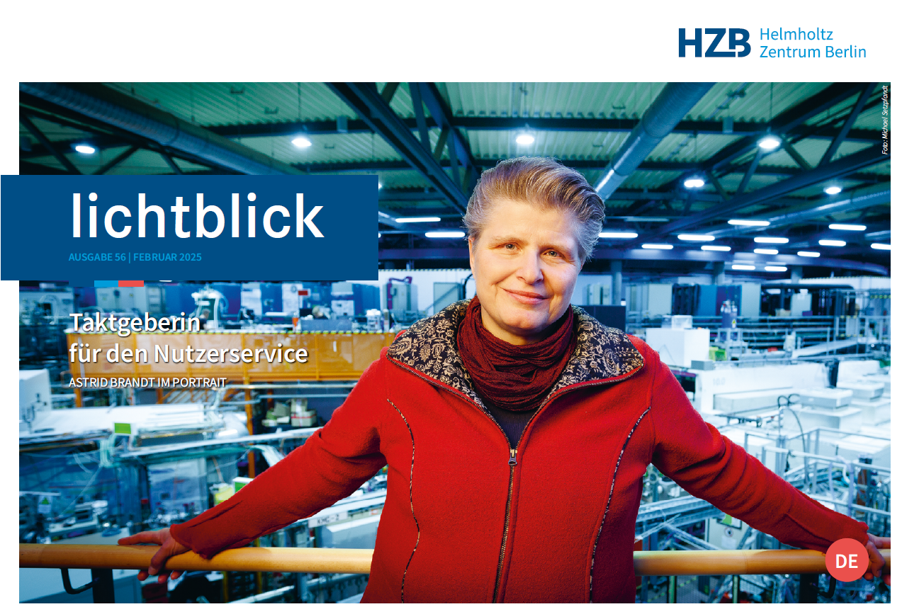 PDF: Januar 2025