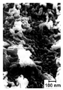 enlarged view