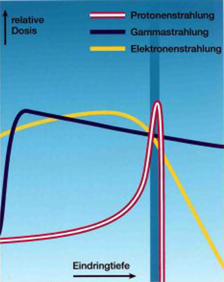 dose distribution - enlarged view