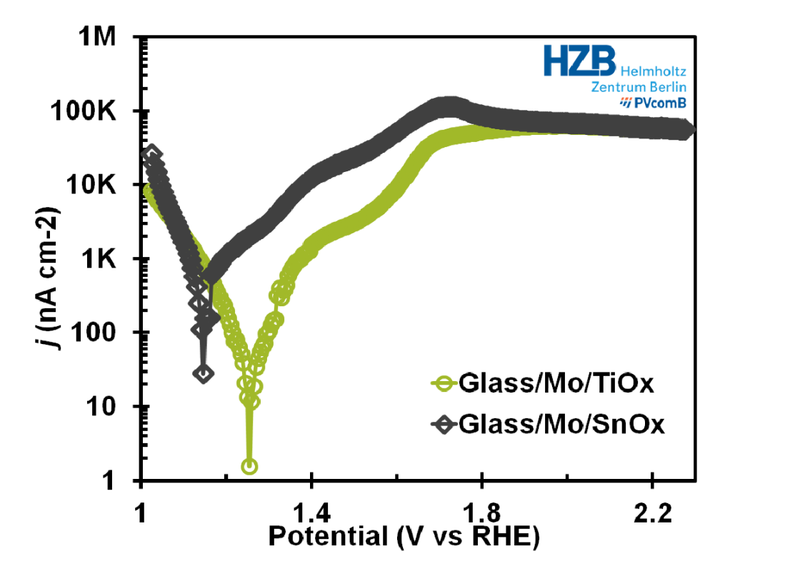 polarization curves - enlarged view