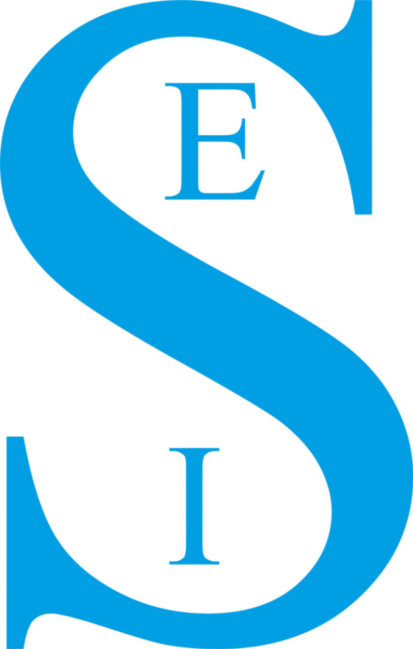 kleines SEI Logo