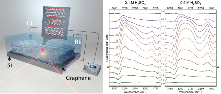 FTIR_MXene - enlarged view