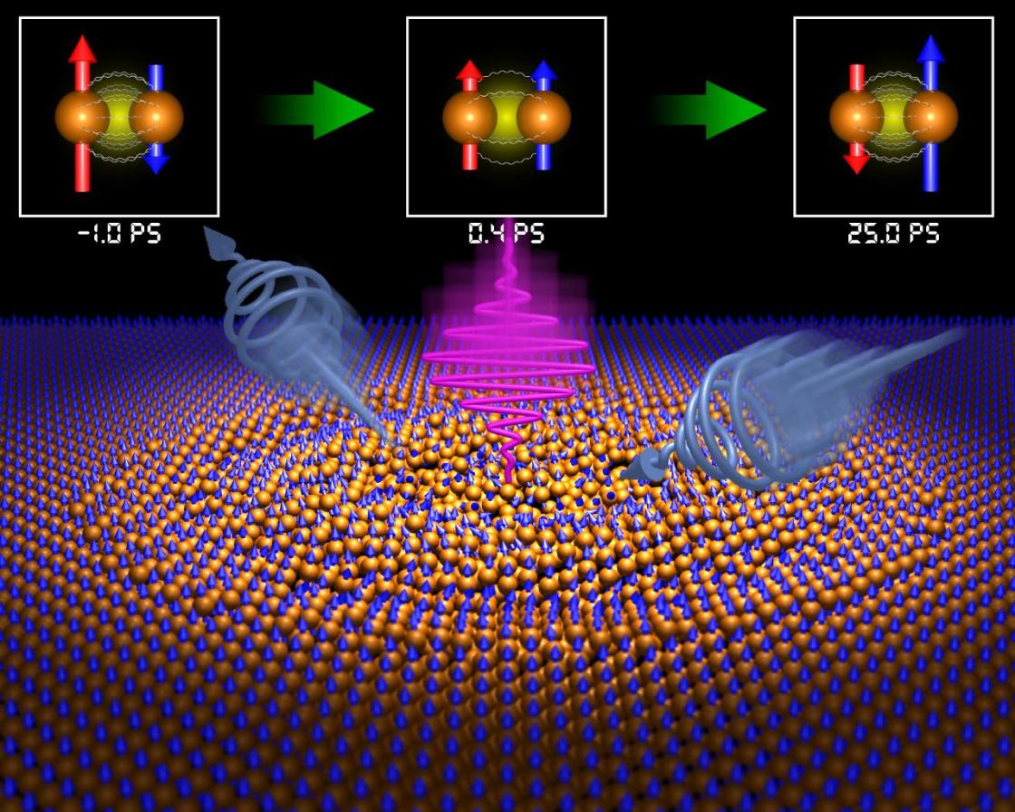 Observation of ultra-fast remagnetization - enlarged view