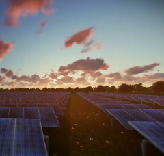 The picture shows a solar cell field