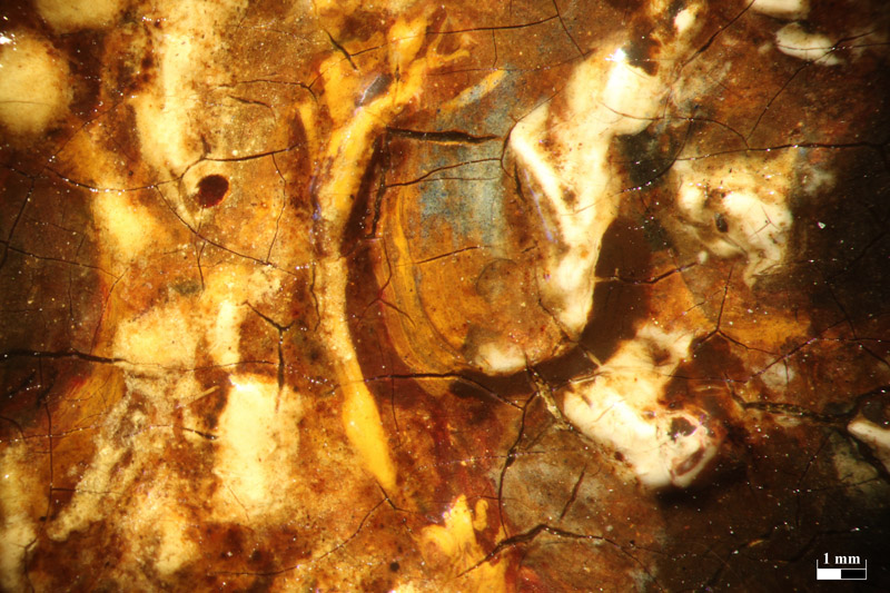Rembrandt Minerva, Mikroskop-Aufnahme - vergrerte Ansicht