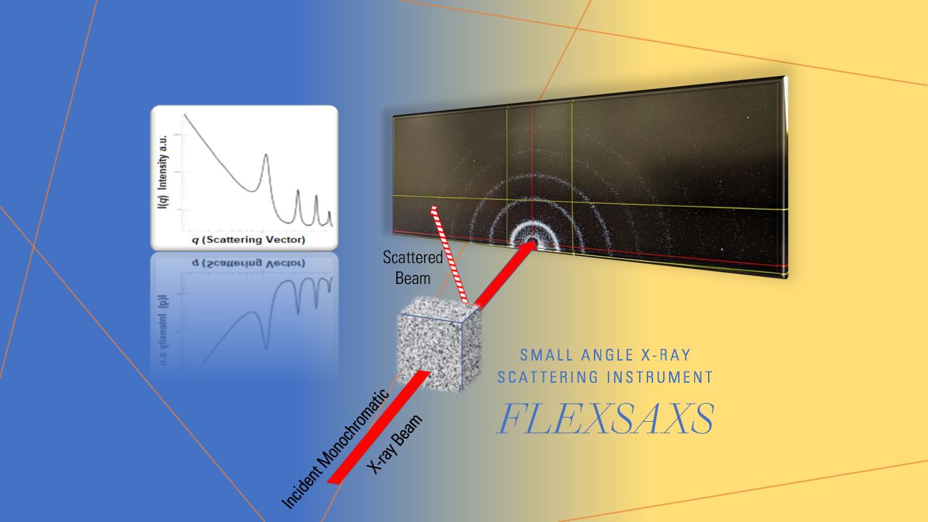flex-SAXS
