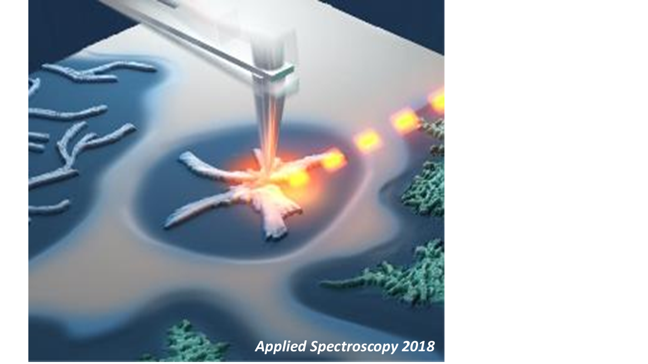 Infrared Nanopolarimetry