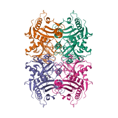 8ISC
