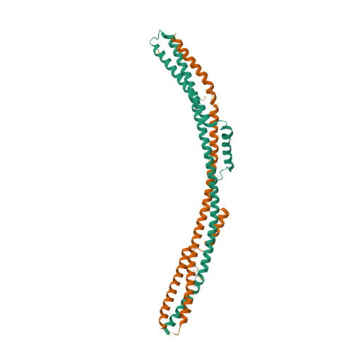 8CQO