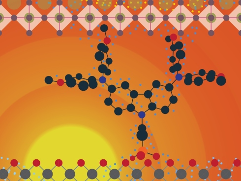 Selbstorganisierte, molekulare Monolagen fr effiziente Perowskit-Solarzellen