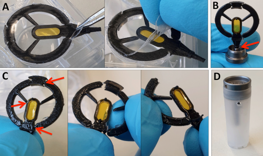 After their formation the tiny crystals are prepared for x-ray analysis - without touching them. They stay onto the same sample holder.