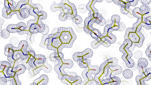 Neuer Detektor beschleunigt die Proteinkristallographie