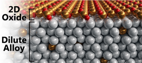 Nutzerforschung an BESSY II: Bildung eines 2D metastabilen Oxids in reaktiven Umgebungen