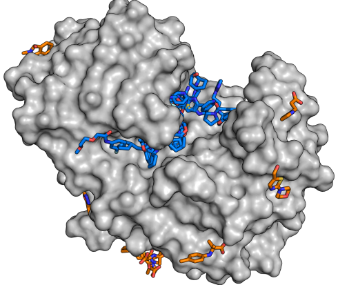 New substance library to accelerate the search for active compounds