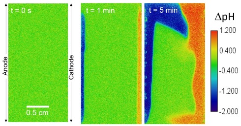 Grner Wasserstoff: Auftrieb im Elektrolyten sorgt fr Konvektionsstrmung