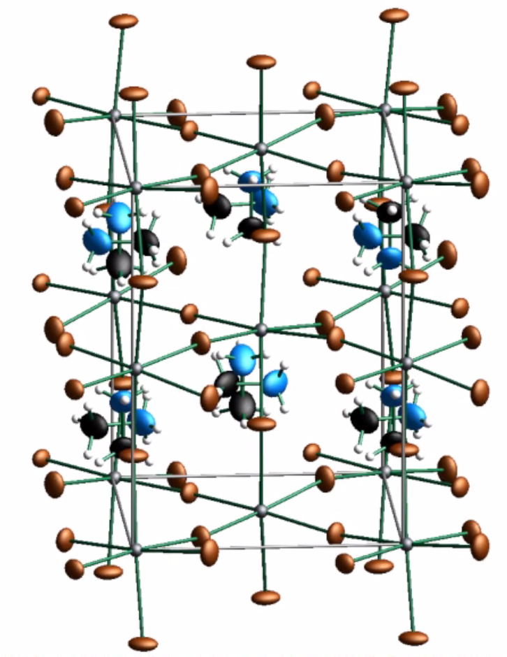 New insights into the structure of organic-inorganic hybrid perovskites