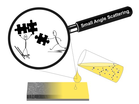 Perovskite Solar Cells: Insights into early stages of structure formation