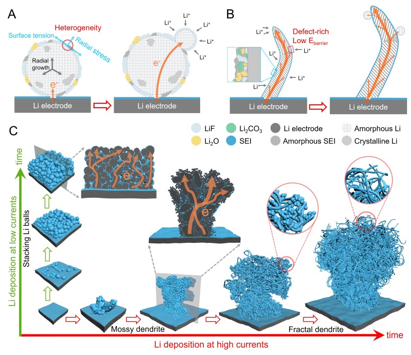 While the deposited lithium stacks up as tiny balls at low electric currents, the deposits grow into tangled formations over time at high currents - the fractal dendrites.&nbsp;