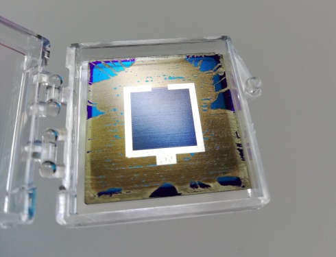 Workhorse of silicon photovoltaics combined with perovskite in tandem for the first time