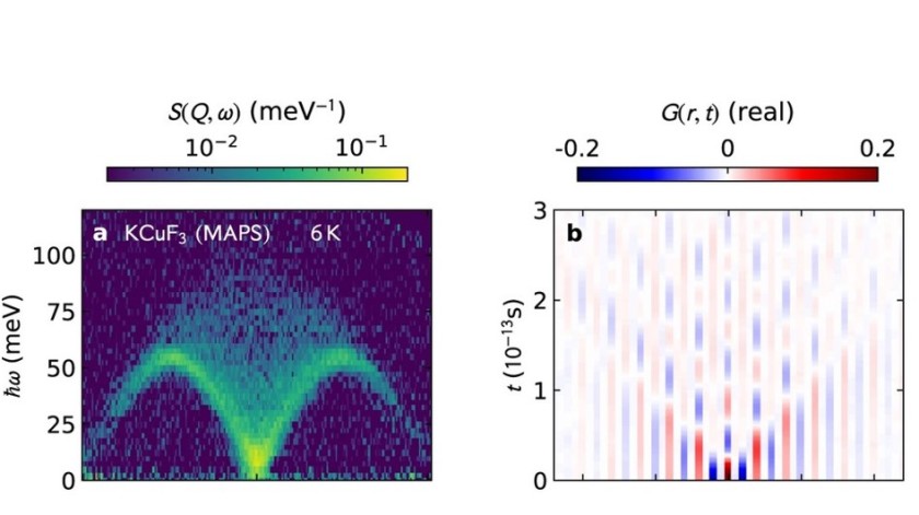 Die Daten aus der Neutronenstreuung (links) geben Auskunft &uuml;ber absorbierte Energien im reziproken Raum. Mit der neuen Auswertung war es m&ouml;glich, Aussagen &uuml;ber neue magnetische Zust&auml;nde und deren zeitliche Entwicklung im Realraum zu erhalten (rechts). Die Farben Blau und Rot kennzeichnen die beiden entgegengesetzten Spinrichtungen.