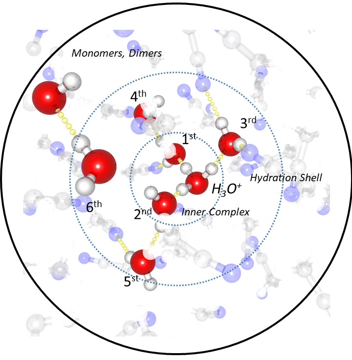 The spectral fingerprints of water molecules could be studied at BESSY II. The result: the electronic structure of the three innermost water molecules in an H<sub>7</sub>O<sub>3</sub><sup>+</sup> complex is drastically changed by the proton. In addition, the first hydrate shell of five other water molecules around this inner complex also changes, which the proton perceives via its long-range electric field.