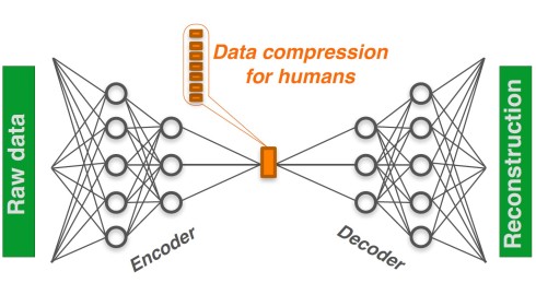 New software based on Artificial Intelligence helps to interpret complex data