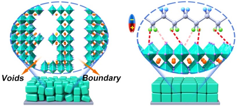 In the control perovskite layer (left), the microcrystals are not perfectly ordered and voids can form. In the new variant (right), the dipolar polymer cushions the tiny crystals and thus reduces the thermomechanical stress.