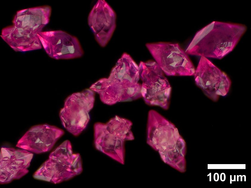 LiFe<sub>x-1</sub>Co<sub>x</sub> Borophosphates have been used as inexpensive anodes for the production of green hydrogen. Their dynamic restructuring during OER as well as their catalytically active structure, have been elucidated via&nbsp; X-ray absorption spectroscopy.