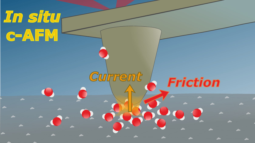 The principle of correlative atomic force microscopy in contact mode: a fine tip at the end of a cantilever scans the surface. This allows force interactions between the tip and the sample surface to be measured, including frictional forces. If a voltage is also applied, the electric current flowing through the contact can also be measured.
