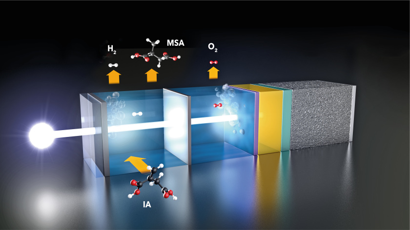 The photoelectrochemical cell: Sunlight generates a photovoltage in the catalyst-coated solar cell (right), which splits water molecules. Hydrogen is produced at the left electrode, oxygen at the right. A part of the H<sub>2</sub> reacts further with itaconic acid (IA) to form valuable methyl succinic acid (MSA).